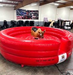 Mechanical Bull