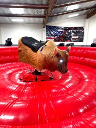 Mechanical20Bull202 1772322660 Mechanical Bull